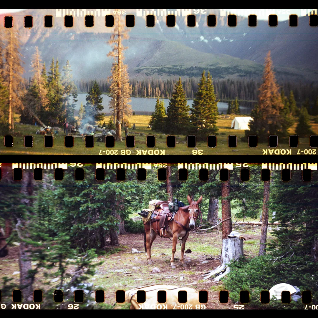 Two frames of Kodak Gold 200, shot in a medium format camera so the sprocket holes and the "KODAK GB 200" edge print show: a camp with a white canvas tent and campfire smoke beside a lake below mountains, and a saddled pack mule standing among pine trees.