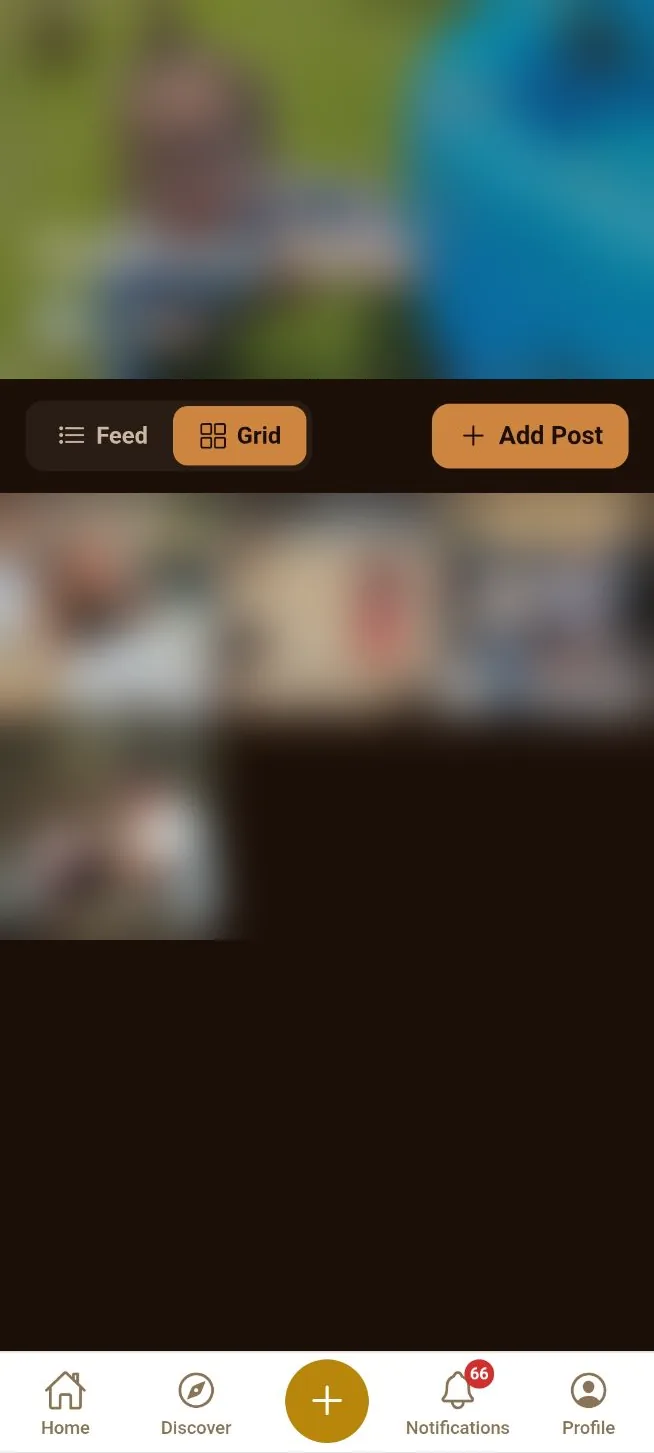 A private family collection on Kindred in grid view, with Feed and Grid toggles and an Add Post button. The photographs are blurred here because nobody outside the collection can see them.