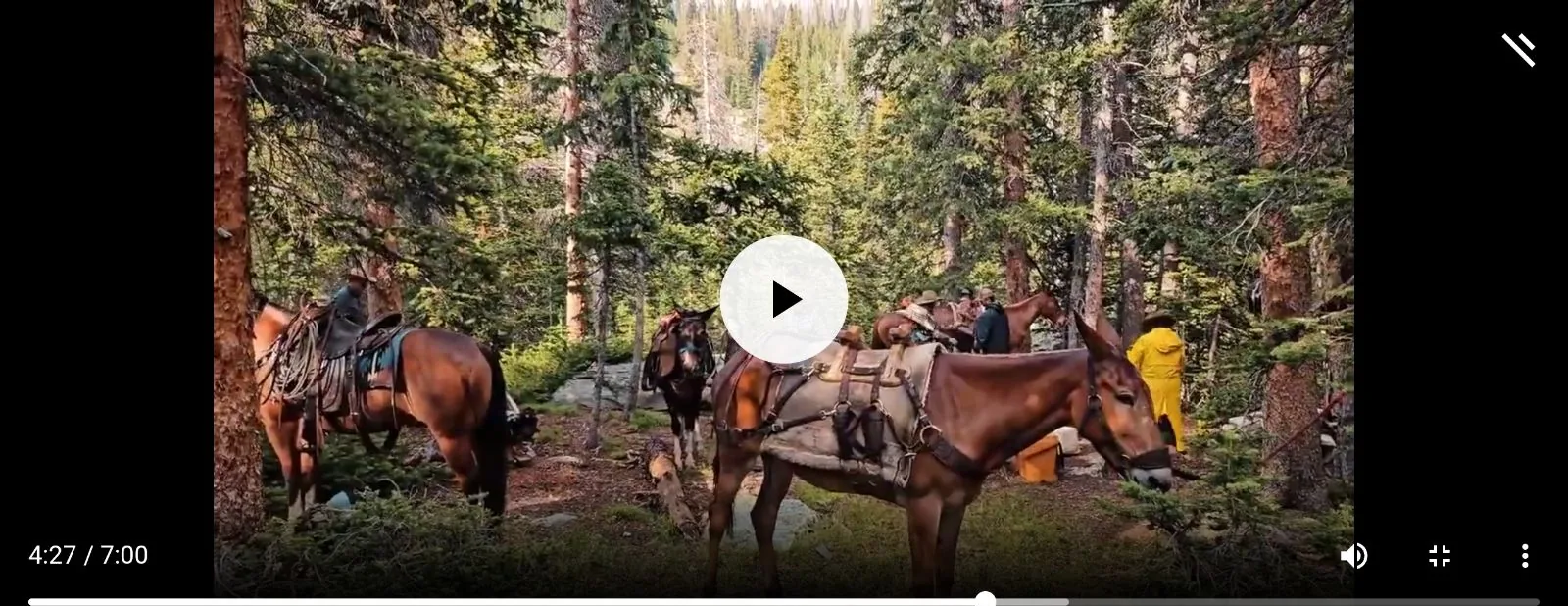 A seven-minute film playing in landscape at full width on Kindred, with standard player controls and no crop to a vertical frame.
